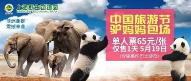 野生动物园：动物比游客还惨！！！2023年就已经很离谱了！！！