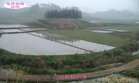 桌面背景图与风水的内在关联