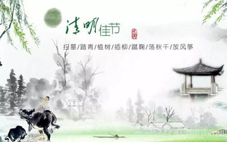 理性视角的回归：科学与迷信的博弈