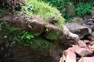 路线选择：迷茫的开始