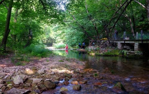 二、山水乱弹——抱犊崮&微山湖“自由”组合