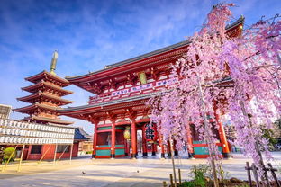 日本较深度游攻略：别让“打卡”毁了真实正的旅行