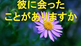 3. 保持积极乐观心态以增强吸引力