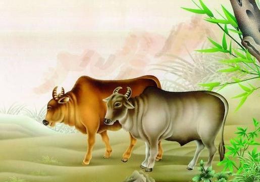 1999年属什么生肖？它在十二生肖中代表什么含义？