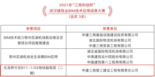 智筑今后工程项目专家的专业领域