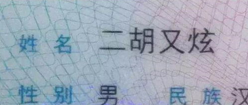 然后呢？我们还得考虑一下未来发展方向呗～