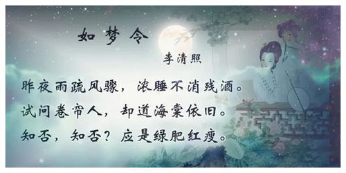 姓名的奥秘：探寻生肖星座与风水的完美融合 (啊，完美？也许吧…)
