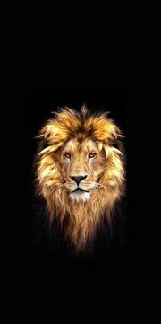 诚惶诚恐的生肖是哪个？打一生肖嫩形容这种心情吗？