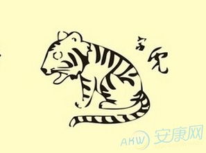 86年出生属虎的人五行八字中缺什么？如何调整？