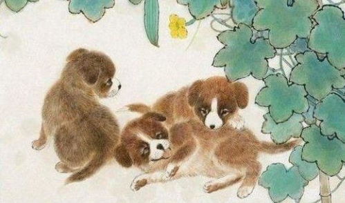 前言（看这篇文章你会获取哪些）