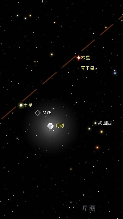 1999年双星闪耀，如今你年龄几何？
