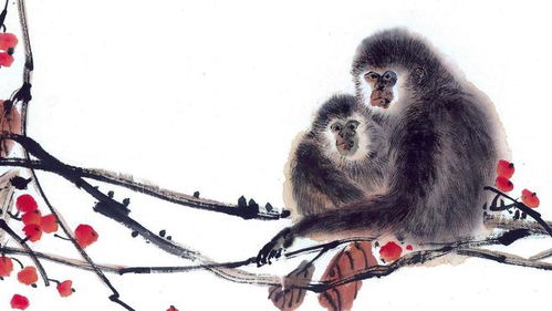 2026年属猴财运预测具体如何？