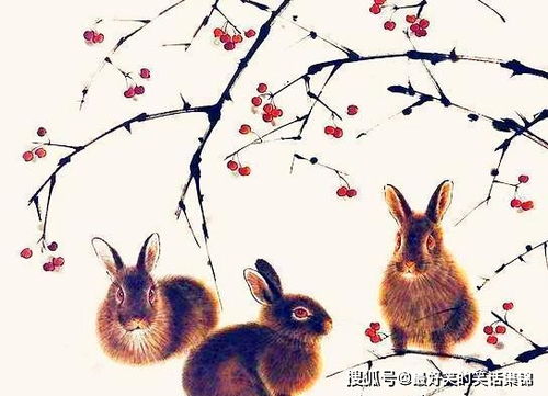 属兔人宜养什么鱼能招财运？75年属兔女招财手机壁画具体含义是什么？