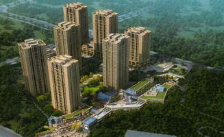 六、 开发商声誉及社会责任评估