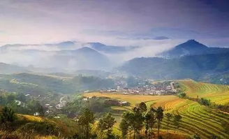 坪山梯田门票大甩卖！2026年属马的人必看！