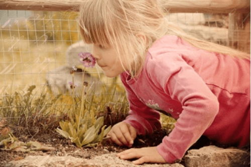 三、 取名技巧（乱弹）