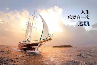 那些年我们追过的励志鸡汤