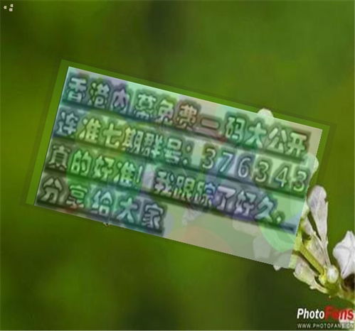 二八三九相连，猜猜我这一生的生肖是什么？