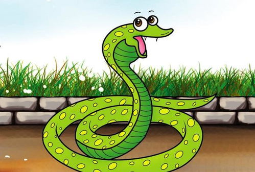 属蛇人2026年全年运势及每月运势具体如何？