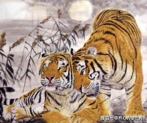 满面红光指的是哪个生肖？满面红光打一动物是什么生肖的意思？