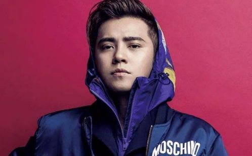 罗志祥之生辰八字概述