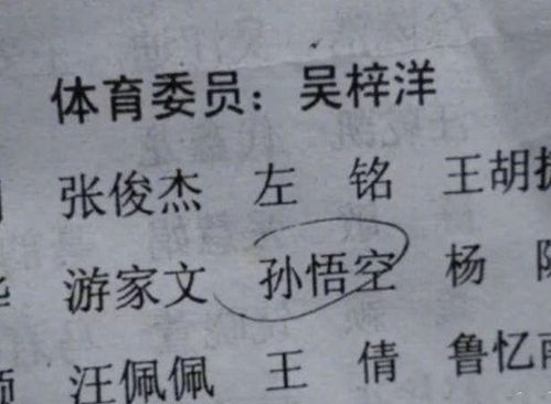 1. 姓氏搭配：考虑和谐共同生存