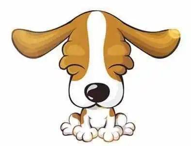 2026年属狗人的运势如何，招财物件是什么？