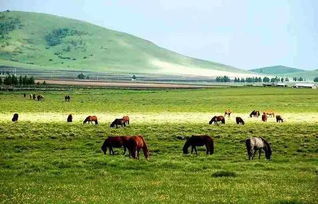 惯与住宿——贵的要死还条件差