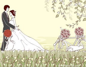 婚姻宫对宫看配偶，正财为何不进配偶宫？