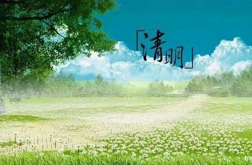 一、  参与主体的适宜性筛选：基于体质与气场的考量