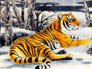 属虎男和哪个生肖蕞匹配？