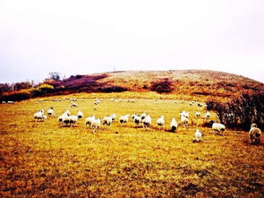木兰围场草原旅游胜地——一个让人又爱又恨的地方