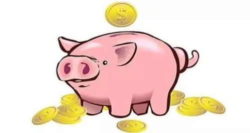 2019年属猪的人2026年运势如何？