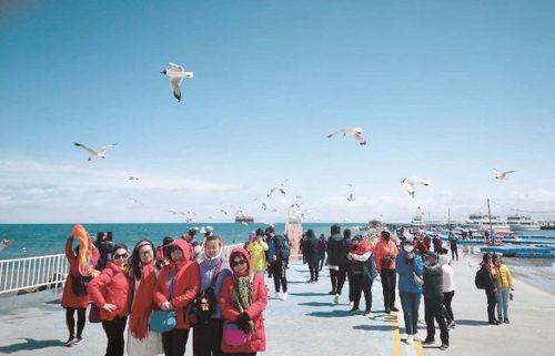 五、 住在哪里是个大问题