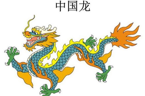 2013年属什么生肖？十二生肖中2013年对应的年份是什么生肖？