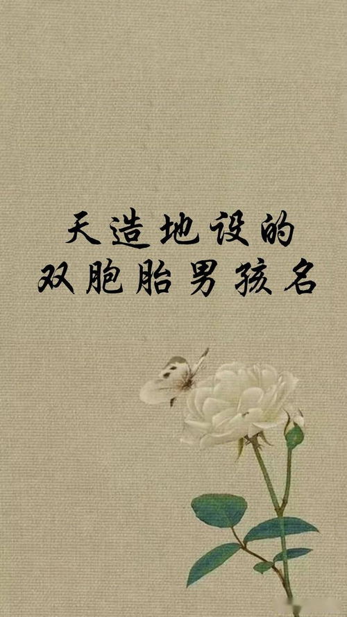 诗词歌赋中的灵感：文艺范儿的双胞胎名字