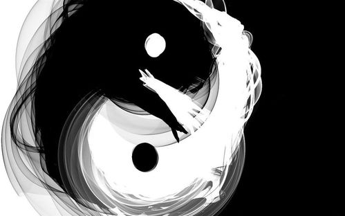 与阴阳鱼的殊死搏斗