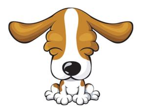 2026年属狗人的太岁和招财物件分别是什么？