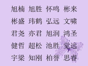 八、“时尚潮流”新锐派——不务正业也要酷炫到爆炸！💥💥💥💥💥💥💥💥💥💥💥🚀