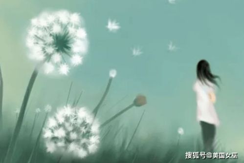 一、 关于星座与感情的普遍性探讨