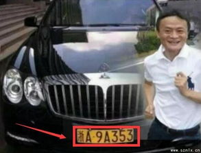 如何查询免费手机号、车牌号的吉凶信息？