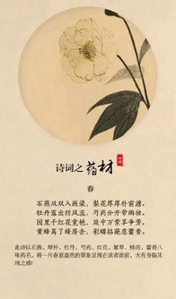 惊魂夜读：孩子古诗100首中的魔咒解读
