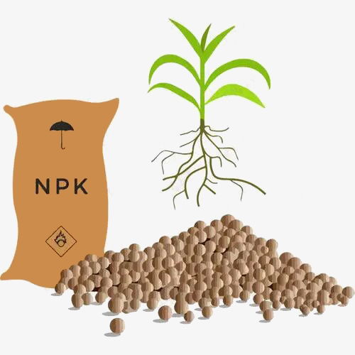 有机肥的物质构成与营养机理：五行生克的微观体现