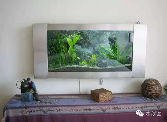 鱼生小鱼家里卧室放鱼，风水禁忌有哪些讲究？