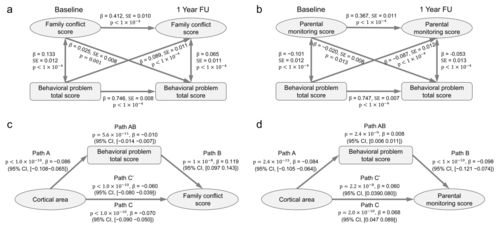 心理状态对效果的影响