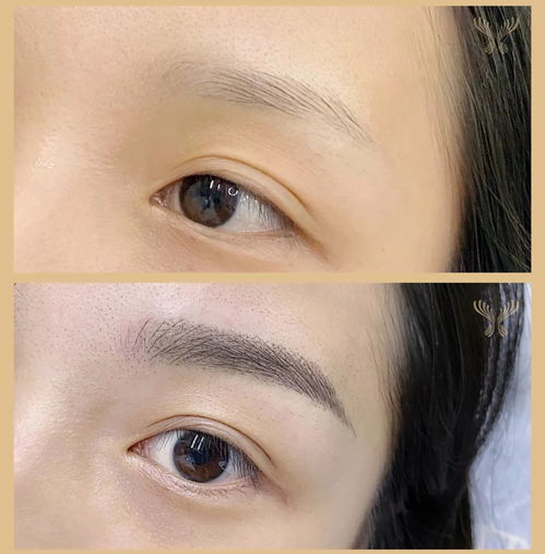 眉毛长度与面容美学的关系