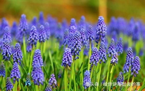 探究背景与问题提出