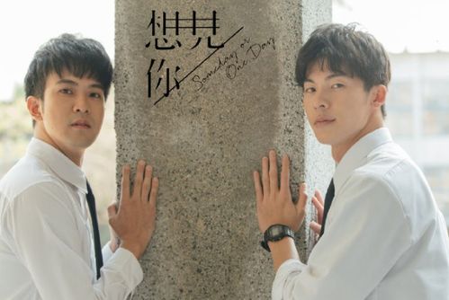 四、 风水学视角下演员外貌与事业持续发展