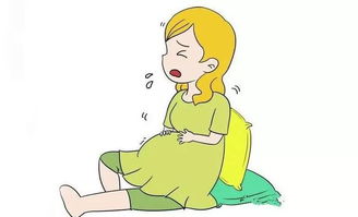 3.1 对孕妇而言的特殊寓意