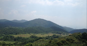 较深圳马峦山郊野公园门票市场价格之学术考察